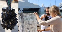 Mar Abierto Cada cuerda instalada lleva unos 30 mejillones para el microfiltrado