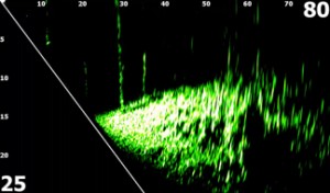 La ctualización de software de Lowrance ofrece mejoras para la sonda Eagle Eye, como la función de compensación de profundidad y una nueva gama de paletas de colores. La ctualización de software de Lowrance ofrece mejoras para la sonda Eagle Eye,